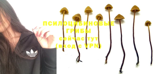 молекула духа Абинск