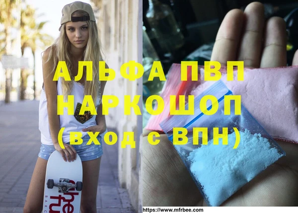 стаф Абаза