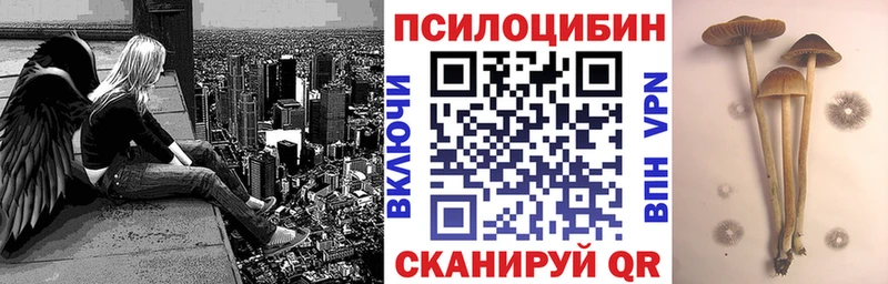 Галлюциногенные грибы Psilocybe МЕГА зеркало Холм где купить наркотик